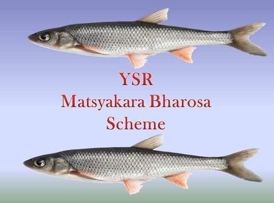YSR-Matsyakara-Bharosa-Scheme-In-AP